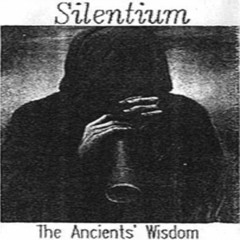 Silentium - Errata
