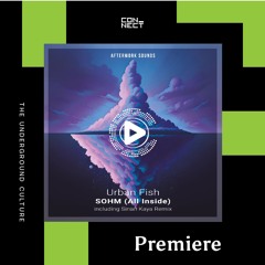 PREMIERE: Urban Fish - Sohm (All Inside) (Sinan Kaya Remix) [Afterwork Sounds]