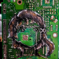 nasWAy 2025 freestyle +muted +turtume