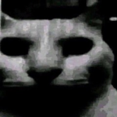she dont need u! (prod. dynasty!)