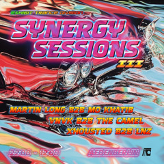 XHOUSTED B2B LNZ. @ SYNERGY SESSIONS