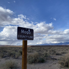 should’ve known better