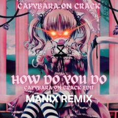 capybara on crack - how do you do (Uptempo_Fishi remix)