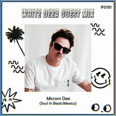 WDR Guest Mix #030 - Microm Dee