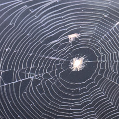 простыл - не катит