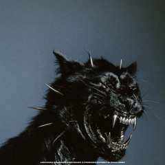 REALFX