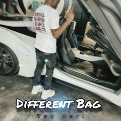 Cari-Different Bag