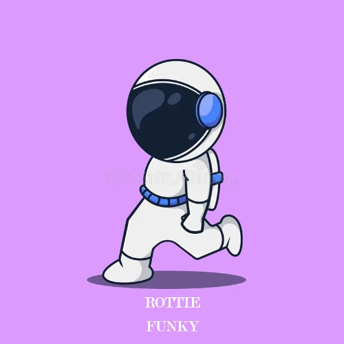 ROTTIE - FUNKY (FREE DOWNLOAD)