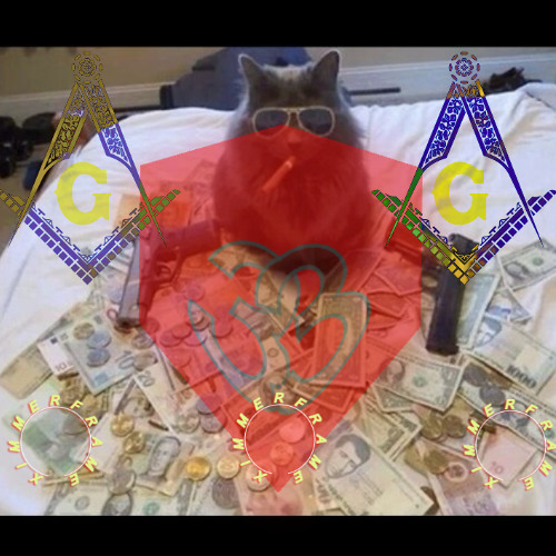Break with FreeMEOWson 🐈‍⬛
