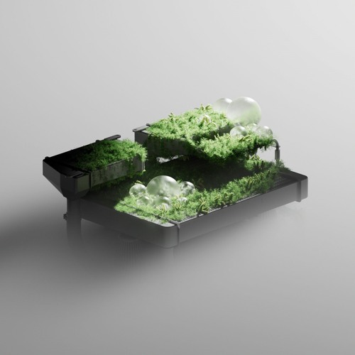 ÁNH SAO & BẦU TRỜI   Trung Quân X CÁ X T.R.I   Live At Soul Of The Forest (256 Kbps)