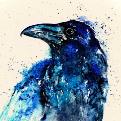 Raven