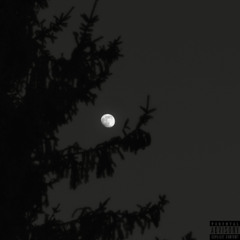 night (prod. nephew x prodpatrick)