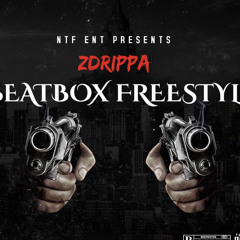 ZDRIPPA - beatbox freestyle