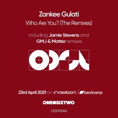 Zankee Gulati - Who Are You [The Remixes]