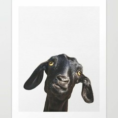 Goat (Feat Linney Vocals)