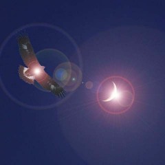 Relationship with Guides and Guardians