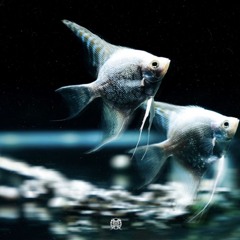Grasa x Gyuris - Basz (remake)