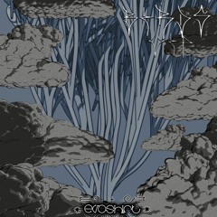 BIRDS - VIP
