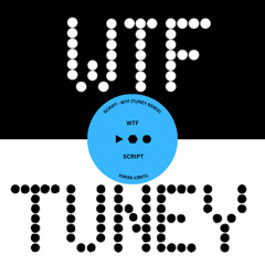 SCRIPT - WTF (Tuney Remix) FREE DOWNLOAD