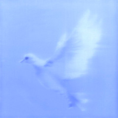 In Love With Life and Being Alive and Existing And Also everything else as well