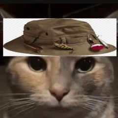 I Thought (p. Robin_Cause)