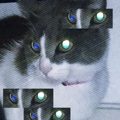 = PiCTuR3 =