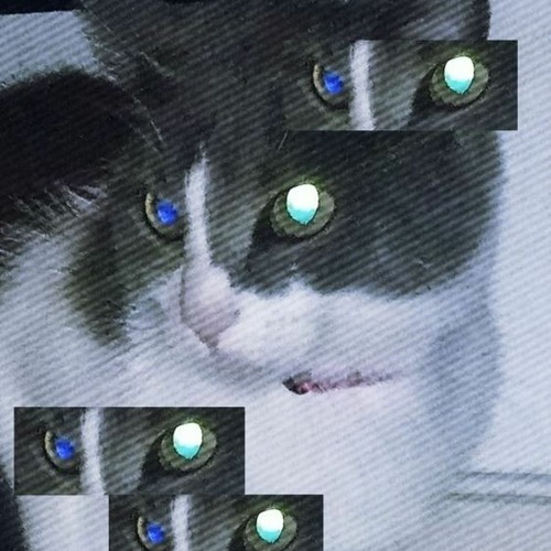 = PiCTuR3 =