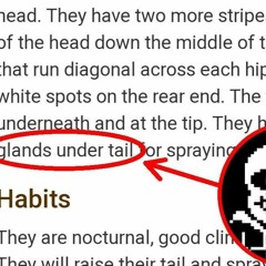 Sans - Bye released on disabled undertale records
