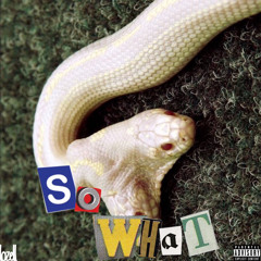 Sowhat (Petran)