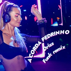 Acorda Pedrinho (Driss Funk Extended Remix)