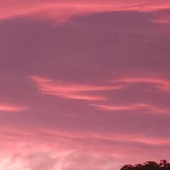 Did That (Feat. CalicoWest!)