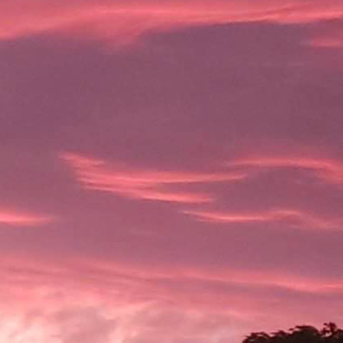 Did That (Feat. CalicoWest!)