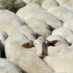 Over [prod. oliver01]