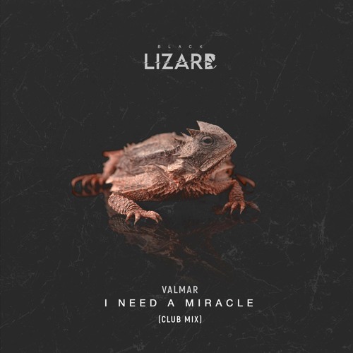 Valmar - I Need A  Miracle (Club Mix)