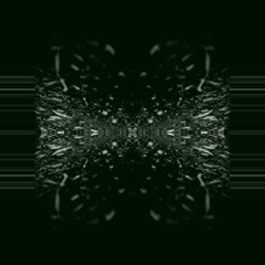 System