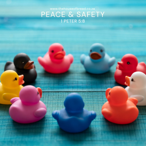 Note for 20250819 - 1 Peter 5v8 - Peace and Safety