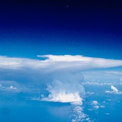 \X/ Vino della Casa - Corala