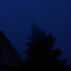 Shelter Me w/ India Alice