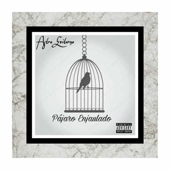 Pájaro Enjaulado