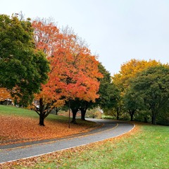 On the Sunny Side Of The Street