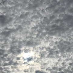 ElvisJC - STBB975 - JackStefanAndLisaLeslieOnLincolnNearTheFoxMartChillinEatingCornmanAndCocaCola