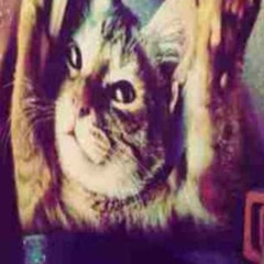 i <3u so #jerk #hoodtrap #cutejerk