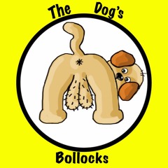 The Dog's Bollocks