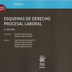 Manual De Derecho Procesal Del Trabajo Pirolo Pdf