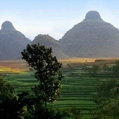 Cotton Hills