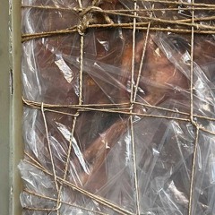 Don't Trip w/ Margarita 080124