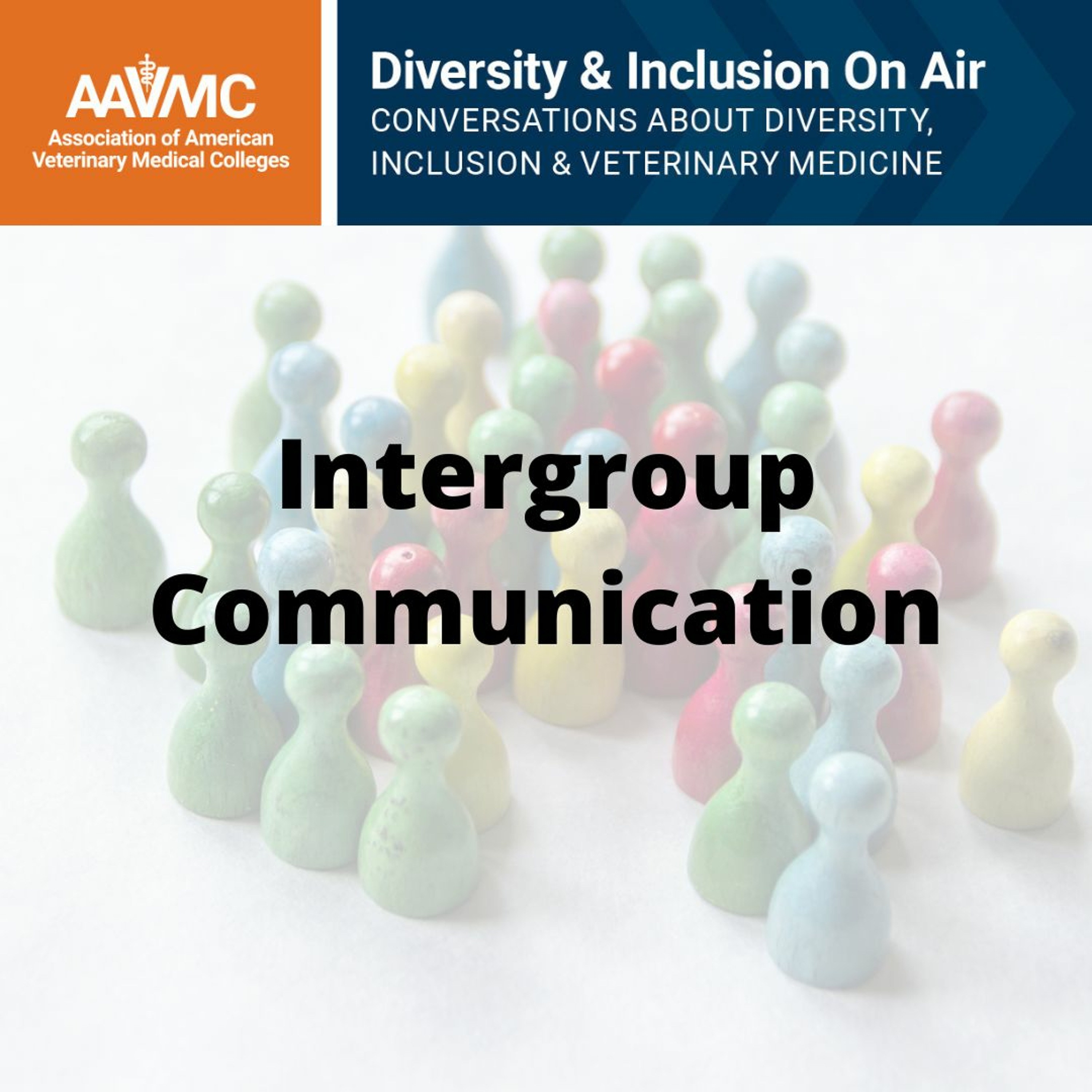 AAVMC\'s On Air: Conversations about Issues in Veterinary Medicine