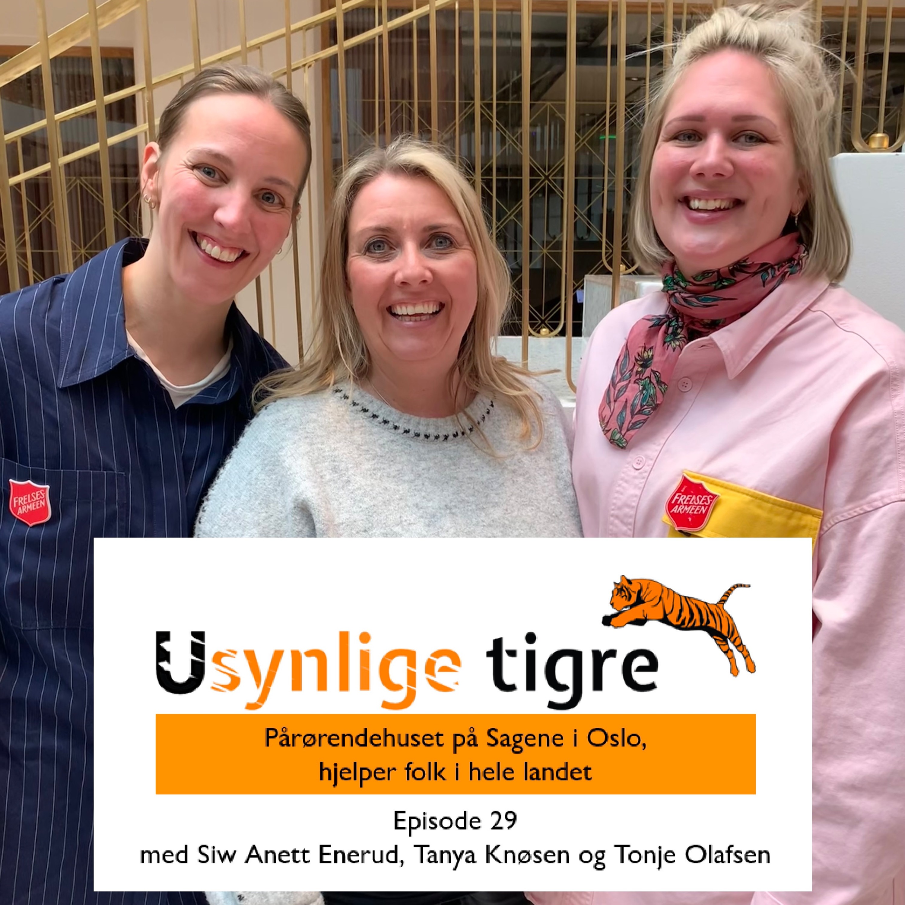 Usynlige tigre-podden
