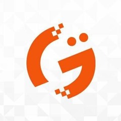 application developer