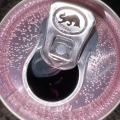 Premiereprodexperimentale.mp3